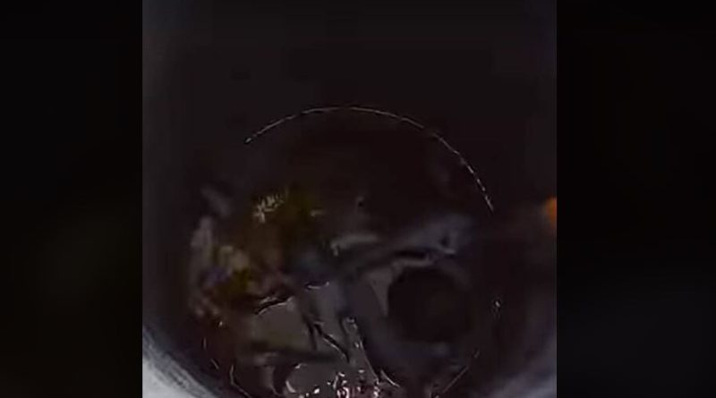 বেস্ট কলকাতা নিউজ : কুয়াতে পড়ে গেলেন মানসিক ভারসাম্যহীন মহিলা, পরে উদ্ধার হল দমকলের জোর চেষ্টায়