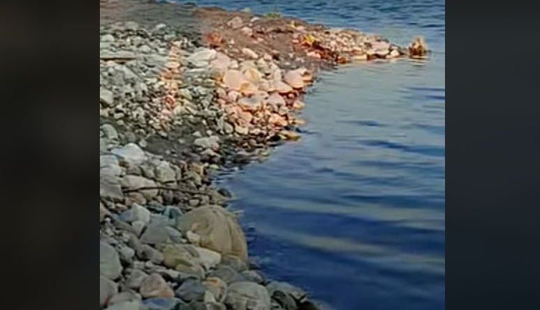 বেস্ট কলকাতা নিউজ : ডুয়ার্সের গাথিয়া নদীতে ভয়ঙ্কর হারপা বান, নিখোঁজ হল তিন শ্রমিক