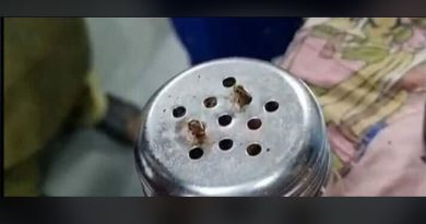 বেস্ট কলকাতা নিউজ : শিলিগুড়িতে খাদ্য সুরক্ষা দপ্তরের অভিযান, ব্যাপক চাঞ্চল্য ছড়ালো ফ্লাক্সের মধ্যে থেকে আরশোলা বের হওয়ার ঘটনায়