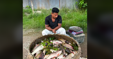 বেস্ট কলকাতা নিউজ : আসছে না বাংলাদেশের ইলিশ , চরম হতাশ শহর শিলিগুড়ির মানুষজন