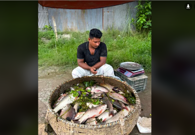 বেস্ট কলকাতা নিউজ : আসছে না বাংলাদেশের ইলিশ , চরম হতাশ শহর শিলিগুড়ির মানুষজন
