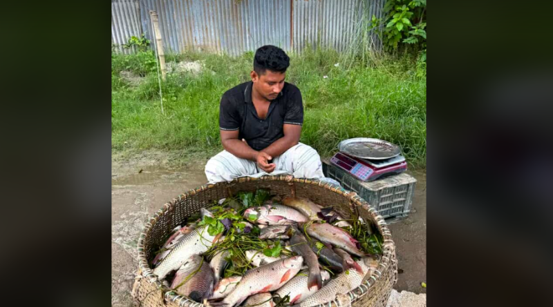 বেস্ট কলকাতা নিউজ : আসছে না বাংলাদেশের ইলিশ , চরম হতাশ শহর শিলিগুড়ির মানুষজন