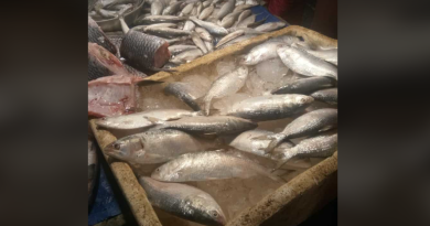 বেস্ট কলকাতা নিউজ : সম্পর্ক ক্রমশ খারাপের দিকে, কোনো আমদানি নেই বাংলাদেশের ইলিশ মাছের