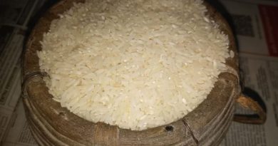 বেস্ট কলকাতা নিউজ : প্রসিদ্ধ সুগন্ধি চাল জিআই ট্যাগ পাওয়ার পর চাষে আগ্রহ বাড়লো উত্তরবঙ্গের কৃষকদের, সহায়তা বৃদ্ধিতে উদ্যোগী হল প্রশাসনও