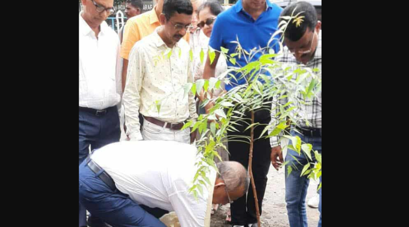 বেস্ট কলকাতা নিউজ : শিলিগুড়ি বিধান মার্কেট ব্যাবসায়ী সমিতির পক্ষ থেকে বৃক্ষরোপন অনুষ্ঠান কর্মসূচির সূচনা করলেন মেয়র গৌতম দেব