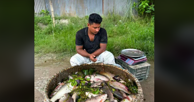 বেস্ট কলকাতা নিউজ : বাজারে আসছে না বাংলাদেশের ইলিশ, চরম হতাশ শহর শিলিগুড়ির মানুষ