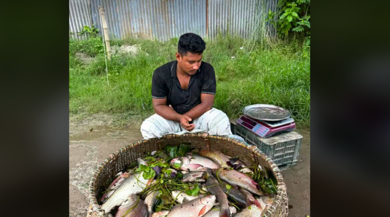 বেস্ট কলকাতা নিউজ : বাজারে আসছে না বাংলাদেশের ইলিশ, চরম হতাশ শহর শিলিগুড়ির মানুষ