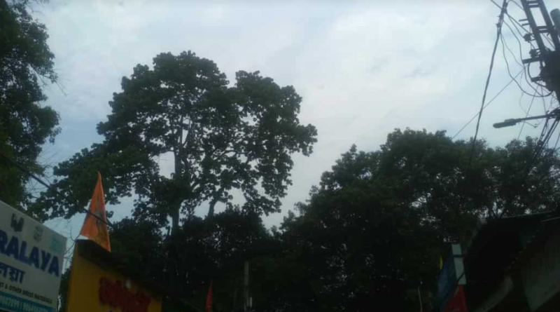 বেস্ট কলকাতা নিউজ : চূড়ান্ত আদ্রতা শহরে, তীব্র গরমে চরম নাজেহাল শহর শিলিগুড়ি