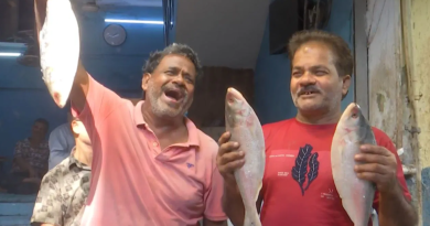 বেস্ট কলকাতা নিউজ : ফের সুখবর পুজোর মরশুমে , মহালয়ার আগেই ট্রাক-ট্রাক পদ্মার ইলিশ ঢুকলো এ রাজ্যে