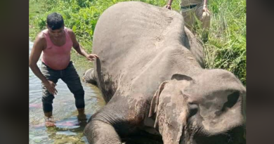 বেস্ট কলকাতা নিউজ : পূর্ণবয়স্ক গর্ভবতী হাতির দেহ উদ্ধার হল কার্শিয়াংয়ের বামনপোখরি রেঞ্জের সুখিয়াখোলায়
