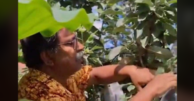 বেস্ট কলকাতা নিউজ : বাড়ির ছাদে আপেল চাষে চাষ করে সকলকে তাক লাগালেন শিলিগুড়ির এই স্কুল শিক্ষক
