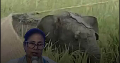 বেস্ট কলকাতা নিউজ : প্রবল বৃষ্টিতে দলছুট হয়ে ভেসে এলো হস্তিশাবক, মুখ্যমন্ত্রী নাম দিলেন লাকি