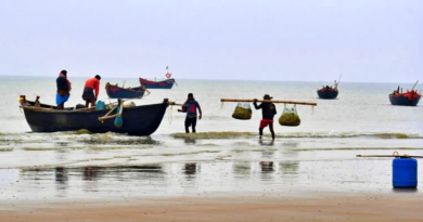 বেস্ট কলকাতা নিউজ : শ্রীলঙ্কার নৌবাহিনীর হাতে গ্রেফতার হল তামিলনাড়ুর ৩৫ জন মৎস্যজীবী