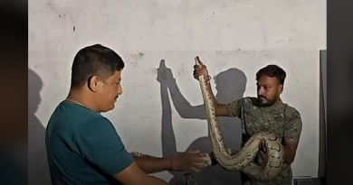 বেস্ট কলকাতা নিউজ : কারখানা থেকে উদ্ধার হল ১০ ফুট লম্বা অজগর সাপ, ব্যাপক চাঞ্চল্য ছড়ালো শহর জুড়ে