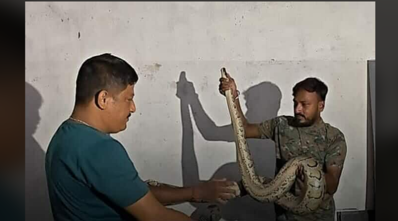 বেস্ট কলকাতা নিউজ : কারখানা থেকে উদ্ধার হল ১০ ফুট লম্বা অজগর সাপ, ব্যাপক চাঞ্চল্য ছড়ালো শহর জুড়ে