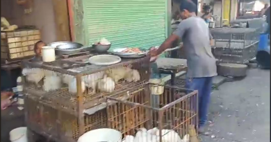 বেস্ট কলকাতা নিউজ : কেজি প্রতি ৪০ টাকা, মুরগির মাংসের দাম হঠাৎ করে একলাফে বেড়ে যাওয়ায় চিন্তায় শিলিগুড়ির ক্রেতা বিক্রেতারা