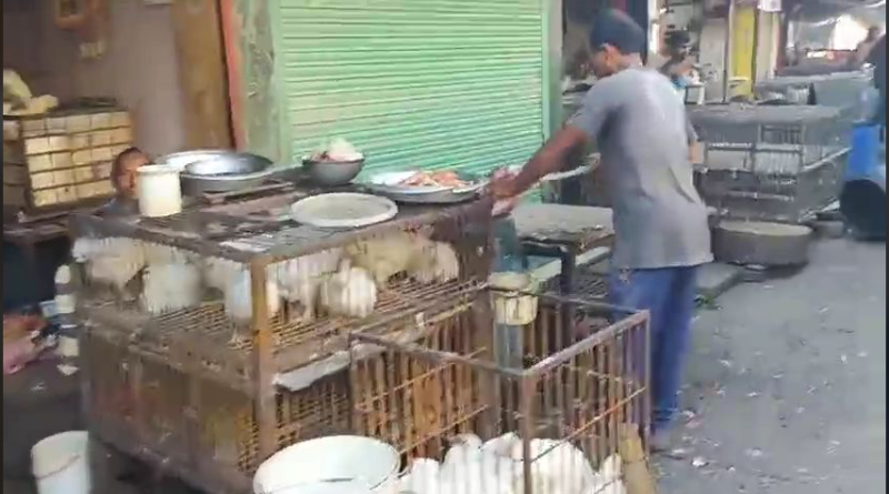 বেস্ট কলকাতা নিউজ : কেজি প্রতি ৪০ টাকা, মুরগির মাংসের দাম হঠাৎ করে একলাফে বেড়ে যাওয়ায় চিন্তায় শিলিগুড়ির ক্রেতা বিক্রেতারা
