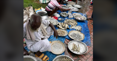বেস্ট কলকাতা নিউজ : সকাল বেলাতেই চলে আসেন ওরা , মাছ বিক্রি করেই সংসার চলে এই সব মাছ বিক্রেতাদের