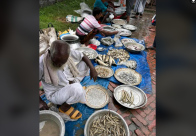 বেস্ট কলকাতা নিউজ : সকাল বেলাতেই চলে আসেন ওরা , মাছ বিক্রি করেই সংসার চলে এই সব মাছ বিক্রেতাদের