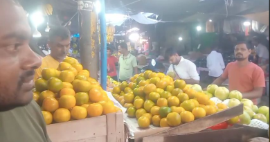 বেস্ট কলকাতা নিউজ : শিলিগুড়িতে শীতের শুরুতেই বাজারে হাজির হল কমলা লেবু