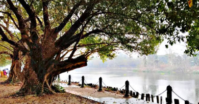 বেস্ট কলকাতা নিউজ : কলকাতার রবীন্দ্র সরোবর আলোকিত হবে সৌরবিদ্যুতে, পরিকল্পনার কথা জানালেন কেএমডিএ