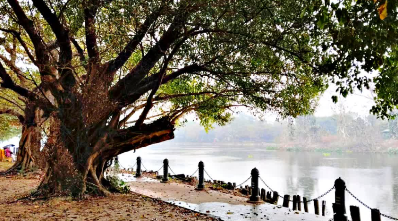 বেস্ট কলকাতা নিউজ : কলকাতার রবীন্দ্র সরোবর আলোকিত হবে সৌরবিদ্যুতে, পরিকল্পনার কথা জানালেন কেএমডিএ