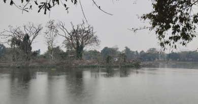 বেস্ট কলকাতা নিউজ : পাখিদের প্রাণ ক্রমশ বিপন্ন হচ্ছে রবীন্দ্র সরোবরে রাতের আলোকসজ্জায় ! প্রতিবাদে সরব হল পরিবেশকর্মীরা