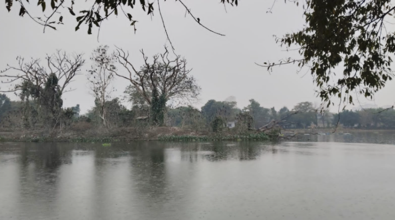 বেস্ট কলকাতা নিউজ : পাখিদের প্রাণ ক্রমশ বিপন্ন হচ্ছে রবীন্দ্র সরোবরে রাতের আলোকসজ্জায় ! প্রতিবাদে সরব হল পরিবেশকর্মীরা