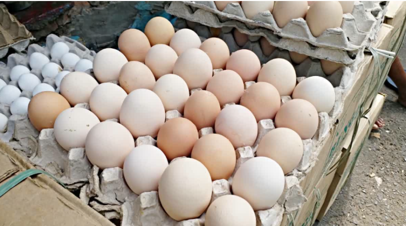 বেস্ট কলকাতা নিউজ : লাগামহীন ভাবে দাম বেড়েছে ডিমের , এক চরম দুশ্চিন্তায় গৃহস্থরা