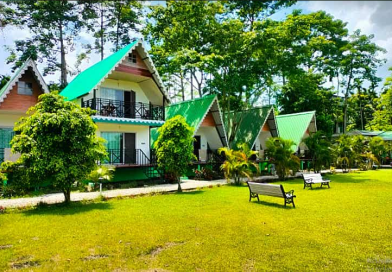 বেস্ট কলকাতা নিউজ : উত্তরবঙ্গের পর্যটকদের কাছে অন্যতম প্রিয় গন্তব্য মাদারি হাটের রয়াল হেরিটেজ ক্যাম্প