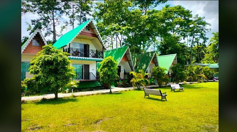 বেস্ট কলকাতা নিউজ : উত্তরবঙ্গের পর্যটকদের কাছে অন্যতম প্রিয় গন্তব্য মাদারি হাটের রয়াল হেরিটেজ ক্যাম্প