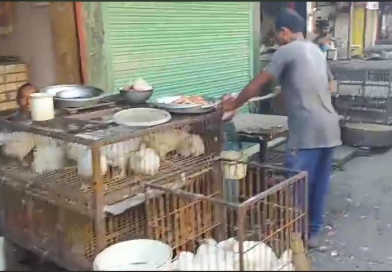 বেস্ট কলকাতা নিউজ : একদিকে বিয়ের মরসুম আছে অন্যান্য অনুষ্ঠানও , মুরগির মাংসের চাহিদা অনেকটাই বাড়লো শহর শিলিগুড়িতে