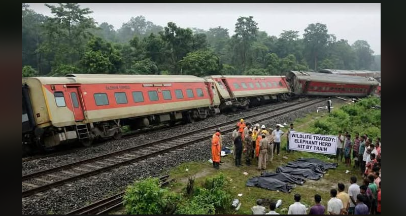 বেস্ট কলকাতা নিউজ : ফের ট্রেন দুর্ঘটনা আসামে, রাজধানী এক্সপ্রেসের ধাক্কায় মৃত্যু ৮টি হাতির, লাইনচ্যুত ৫টি কামরা