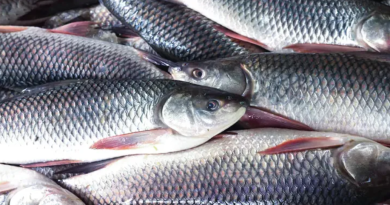 বেস্ট কলকাতা নিউজ : গোঘাটের কোকোন্দ গ্রামে দিঘি সংস্কার করে মাছ চাষের দাবি জনালো স্থানীয় বাসিন্দারা