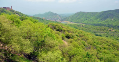 বেস্ট কলকাতা নিউজ : তুমুল বিক্ষোভের জের, আরাবল্লীতে নতুন করে খননের ইজারা বন্ধের নির্দেশ কেন্দ্রের