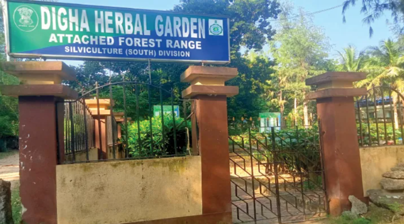 বেস্ট কলকাতা নিউজ : প্রচারের অভাবে আড়ালে পড়ে দীঘার ভেষজ উদ্যান, আজও রয়েছে পর্যটকদের অগোচরে
