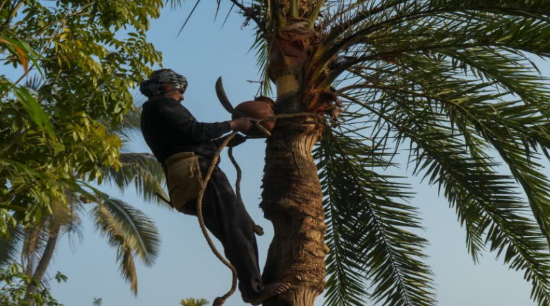 বেস্ট কলকাতা নিউজ : তাপমাত্রা কমার পূর্বাভাস, পৌষ সংক্রান্তিতে ফের ফিরবে প্রবল ঠান্ডার কামড়