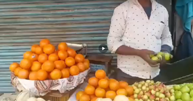 বেস্ট কলকাতা নিউজ : অবিকল কমলালেবুর মতো দেখতে, পাঞ্জাব থেকে আসা এই ফল খুব জনপ্রিয় উত্তরবঙ্গ জুড়ে