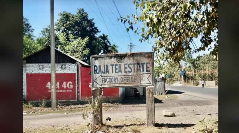 বেস্ট কলকাতা নিউজ : বন্ধ হয়ে গেল ডুয়ার্সের আরও একটি চা বাগান, ফের চরম অনিশ্চিত হয়ে গেল ১০০০ চা শ্রমিকের জীবন