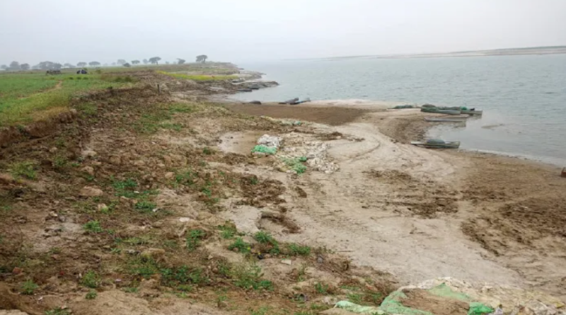 বেস্ট কলকাতা নিউজ : সীমান্তের ৩ কিমি ভিতরে কাঁটাতার, রানিনগরে শস্য লুট করলো বাংলাদেশিরা