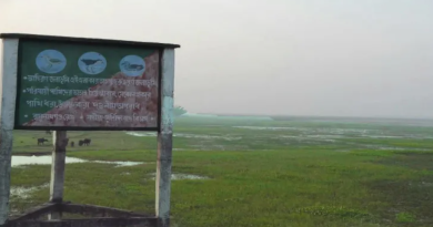 বেস্ট কলকাতা নিউজ : শুনশান আহিরণ বিলে কোনো দেখা নেই পরিযায়ী পাখির , সূতিতে মন খারাপ এলাকার বাসিন্দাদের