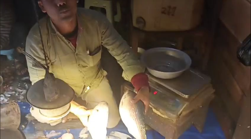 বেস্ট কলকাতা নিউজ : কোনো রকম বিক্রি নেই মাছের, চরম হতাশ শিলিগুড়ির মৎস্য ব্যবসায়ীরা