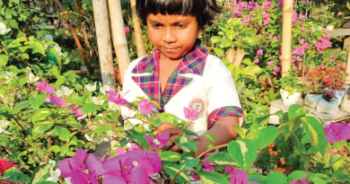 বেস্ট কলকাতা নিউজ : ‘বাগান বিলাসি’ ফুলে যেন রঙিন হয়ে উঠেছে উত্তর কলকাতার জগৎ মুখার্জি পার্ক, ভরা বসন্তে ভিড় বাড়ছে ঘুরতে আসা মানুষের