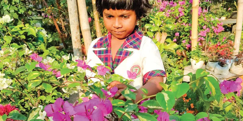 বেস্ট কলকাতা নিউজ : ‘বাগান বিলাসি’ ফুলে যেন রঙিন হয়ে উঠেছে উত্তর কলকাতার জগৎ মুখার্জি পার্ক, ভরা বসন্তে ভিড় বাড়ছে ঘুরতে আসা মানুষের