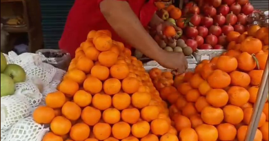 বেস্ট কলকাতা নিউজ : শিলিগুড়িতে প্রায় শেষ সময় কমলালেবুর বাজারের , বিক্রি ভালই হয়েছে জানালেন বিক্রেতারা