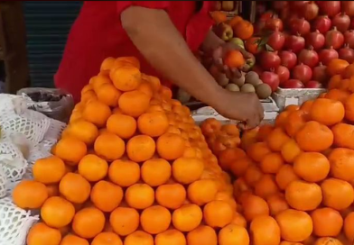বেস্ট কলকাতা নিউজ : শিলিগুড়িতে প্রায় শেষ সময় কমলালেবুর বাজারের , বিক্রি ভালই হয়েছে জানালেন বিক্রেতারা