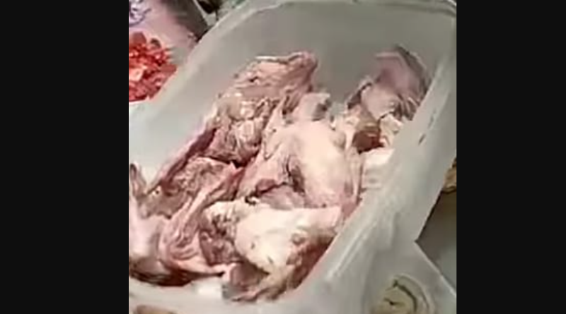 বেস্ট কলকাতা নিউজ : মিষ্টির দোকানের ফ্রিজে মিললো মাংস, প্রবল সমালোচনার ঝড় উঠলো গোটা শিলিগুড়ি শহর জুড়ে