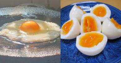 বেস্ট কলকাতা নিউজ : খাওয়া যাবে না 'হাফ বয়েল' ডিম ! নিষেধাজ্ঞা জারি করলো দক্ষিণের এই রাজ্যের সরকারের