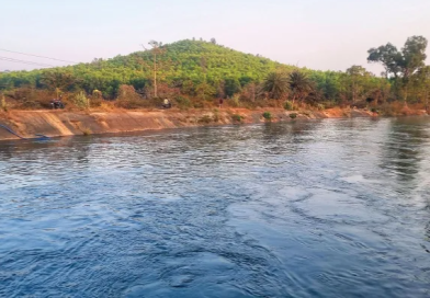 বেস্ট কলকাতা নিউজ : পর্যাপ্ত জলের অভাব মুকুটমণিপুর ড্যামে, বোরো চাষ নিয়ে এক চরম দুশ্চিন্তায় এলাকার চাষিরা