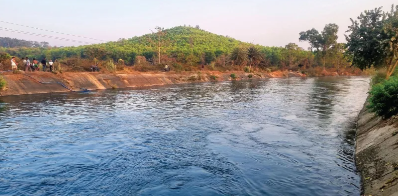 বেস্ট কলকাতা নিউজ : পর্যাপ্ত জলের অভাব মুকুটমণিপুর ড্যামে, বোরো চাষ নিয়ে এক চরম দুশ্চিন্তায় এলাকার চাষিরা